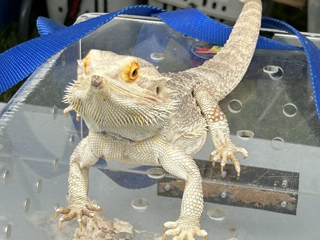 448895789_1230481834680684_1291151640180603147_n